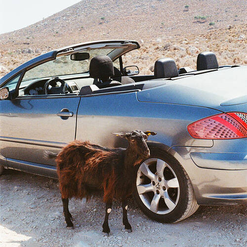 17758157796421000339669405303679