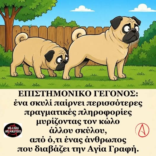 FB_IMG_1788356283017