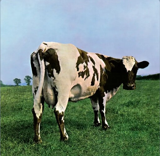 Screenshot_2026-04-12-22-44-47-581-edit_com.spotify.music