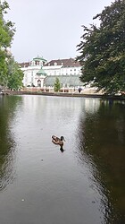 IMG20250717144050
