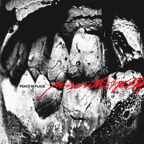 Poison_The_Well_-Peace_In_Place-_2026