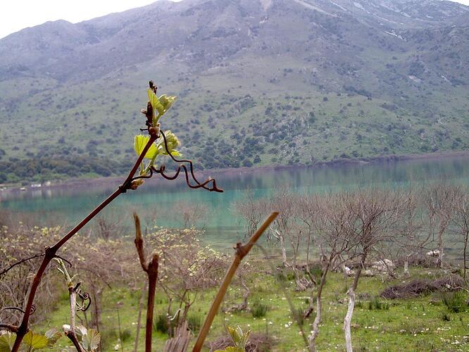 Limni Kourna 2009