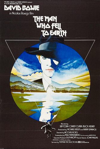the man who fell to earth
