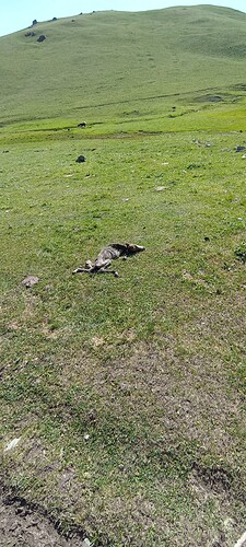 IMG_20250712_163759