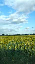 IMG20250717185547