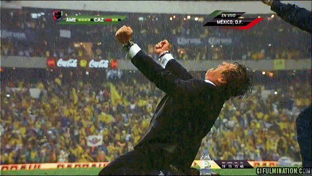 farewell-dear-friend-top-7-gifs-of-insane-mexico-manager-miguel-herrera.gif.avif